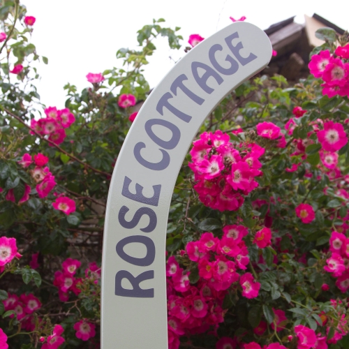 Whats On : 15% Off Painted Hockey Stick Signs – This Month Only