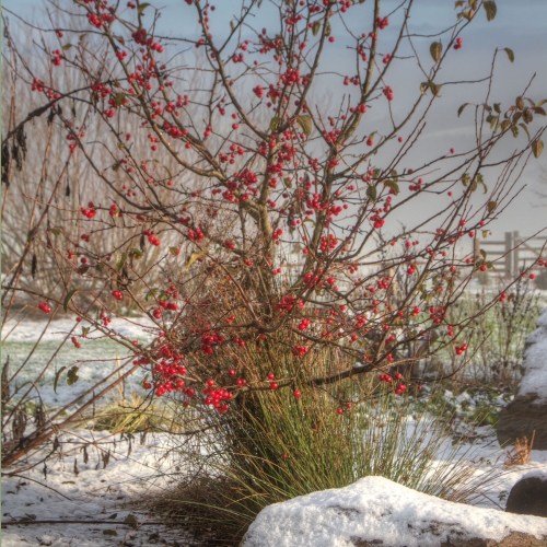 Caring For Our Countryside: Helping Wildlife Through Autumn and Into Winter