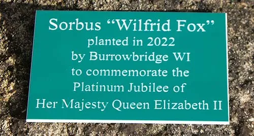 Green Acrylic - White Text