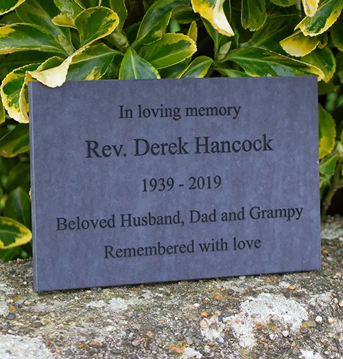 title here Alt text here