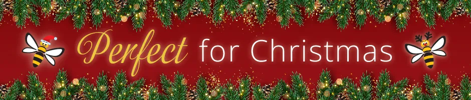 Christmas Gift Ideas