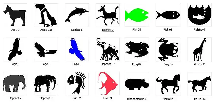 Animal images. Dolphin, donkey, fish, frog