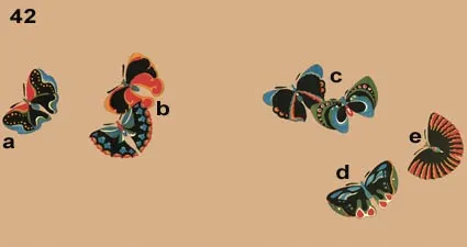 Colour images of butterflies