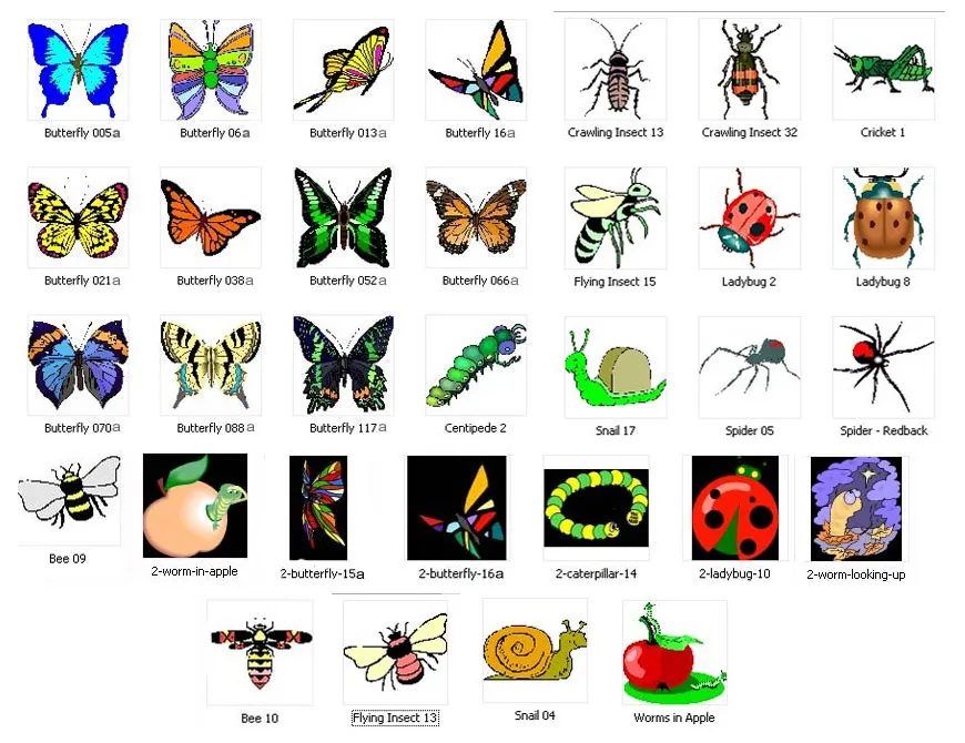 Full colour images of butterflies, bees, moths, insects
