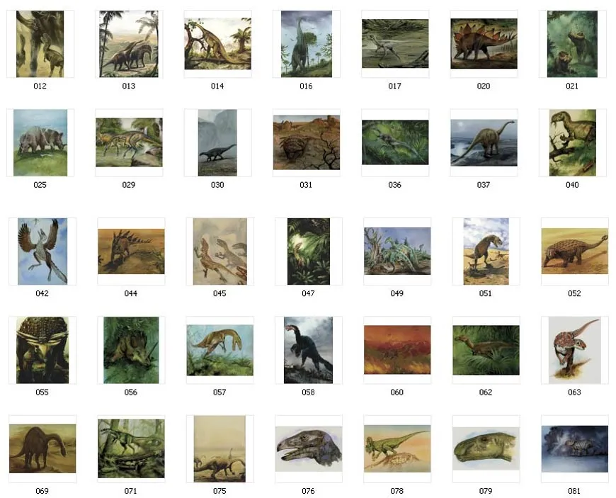 A selection of full colour dinosaur images for printing
