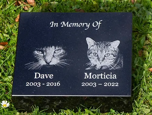 Impact Engraved Image