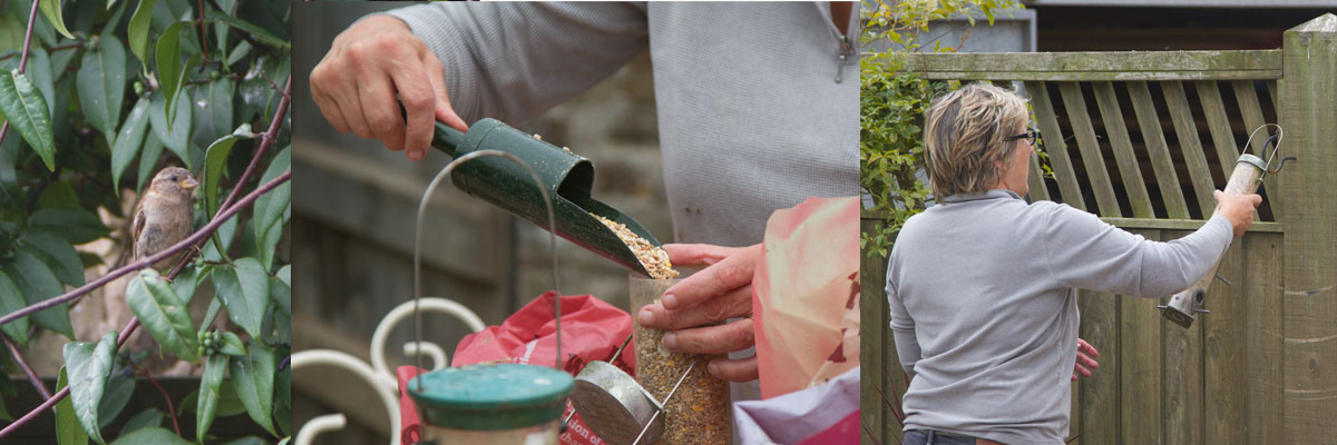 Here at The Sign Maker we help feed the birds through the winter months. 