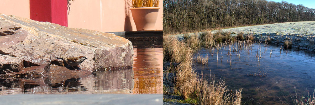 Providing water sources that animals can get out of is essential. 