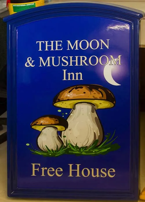 Fibreglass Sign - Full Colour Print