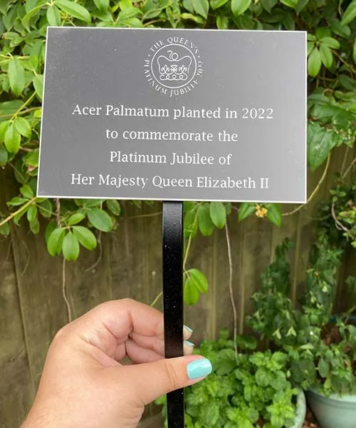 Wrought Iron Tree Stakes