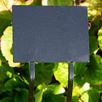 Double spike with flat plate