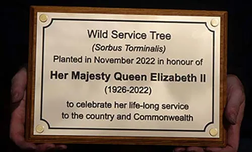 Engrave Bras Plaque on Baking Board