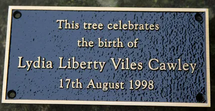 Top quality cast bronze