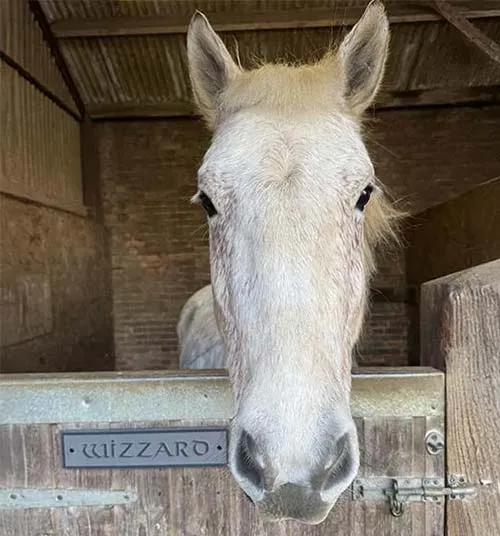 Slate Stable Door Sign