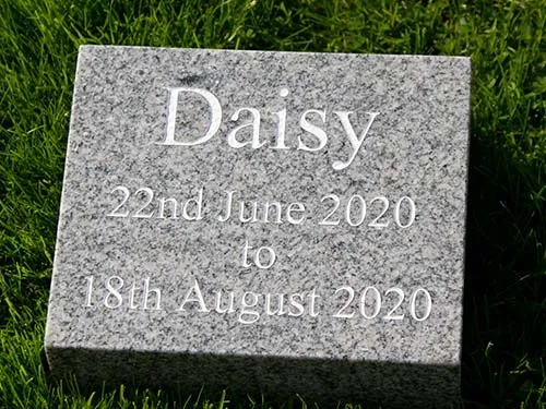 White looks surprizingly good on the light grey mottled granite. Celtic Grey Memorial Wedge