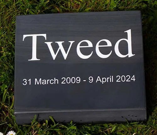 Slate Tablet For A Pet