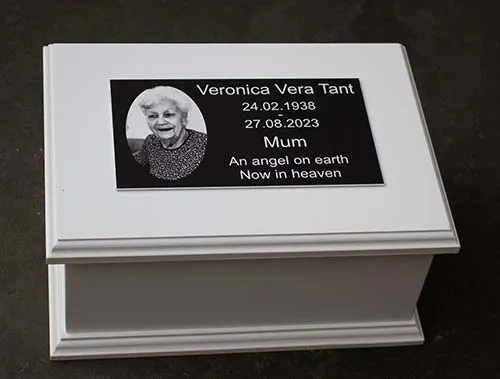 Painted Tricoya Casket