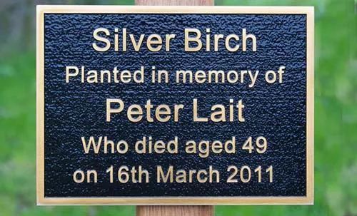 Bronze Memorial with Black Background