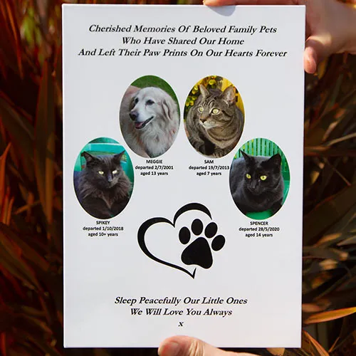 ToughPrint Photo Memorial