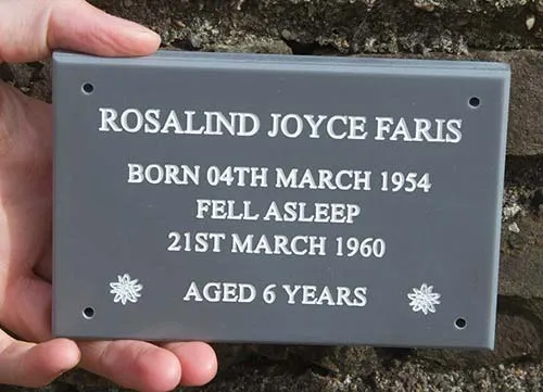 title here Alt text here