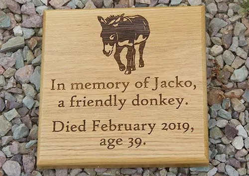 Wooden Pet Memorial - Donkey