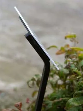 Tree stake plate