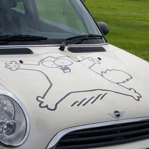 Send us your artwork and we will prive the cut vinyl. Cut Vinyl Car Graphics