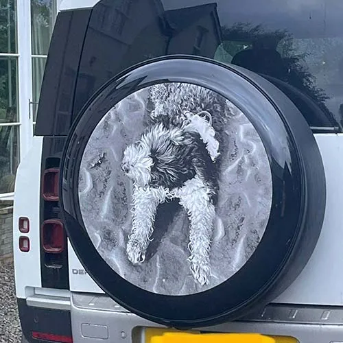 We love to see photos of our wheel covers on the vehicles. Customer Wheel Cover In Situ