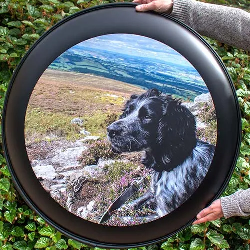 Printed Disk on Matt Black