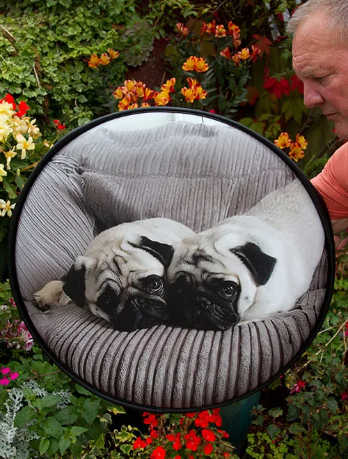 Dark grey print teamed with a light grey skirt. Customers Photo - Dogs