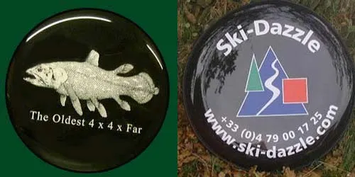 Combination of Print & Cut Vinyl Lettering