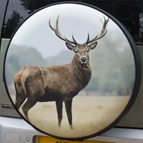 Stag