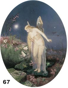 Fairy at night