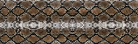 Great Snake 1