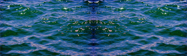 Dark Water 1