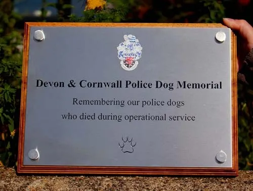 Engraved Stainless Steel