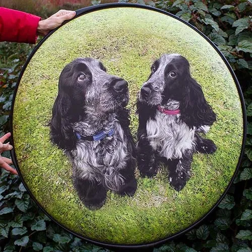 Customers Dog Photo Image