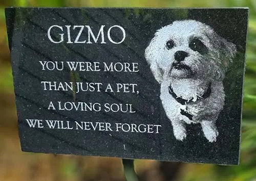 Good quality photos can be engraved into the granite. Black Graite Memorial