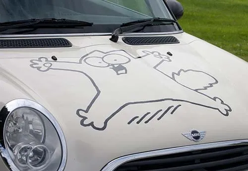 Cut Vinyl Car Graphics