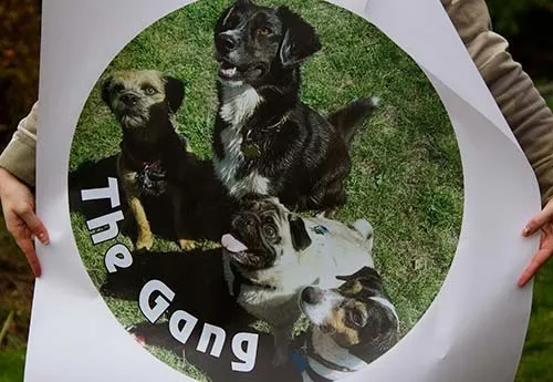 This stickers was made for a wheel cover. Full Colour Printed Sticker