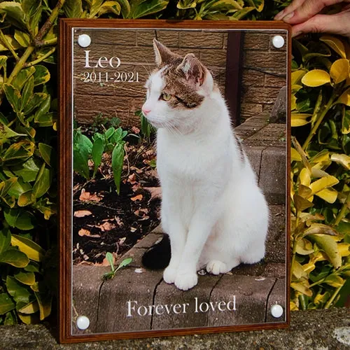 Full Colour Photo Memorial