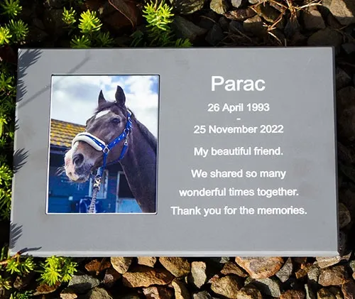 Full Colour Photo Plaque
