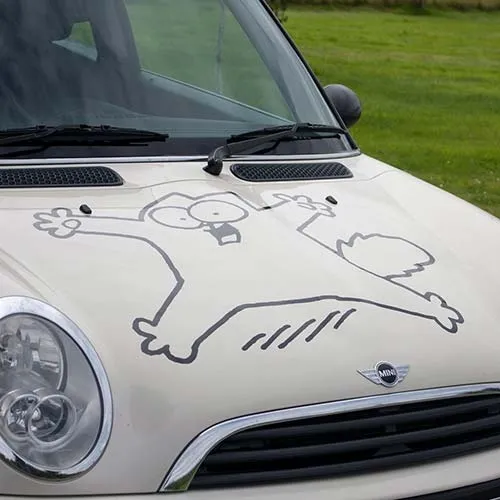 Sent to you on application tape. Graphics for Car Bonnet